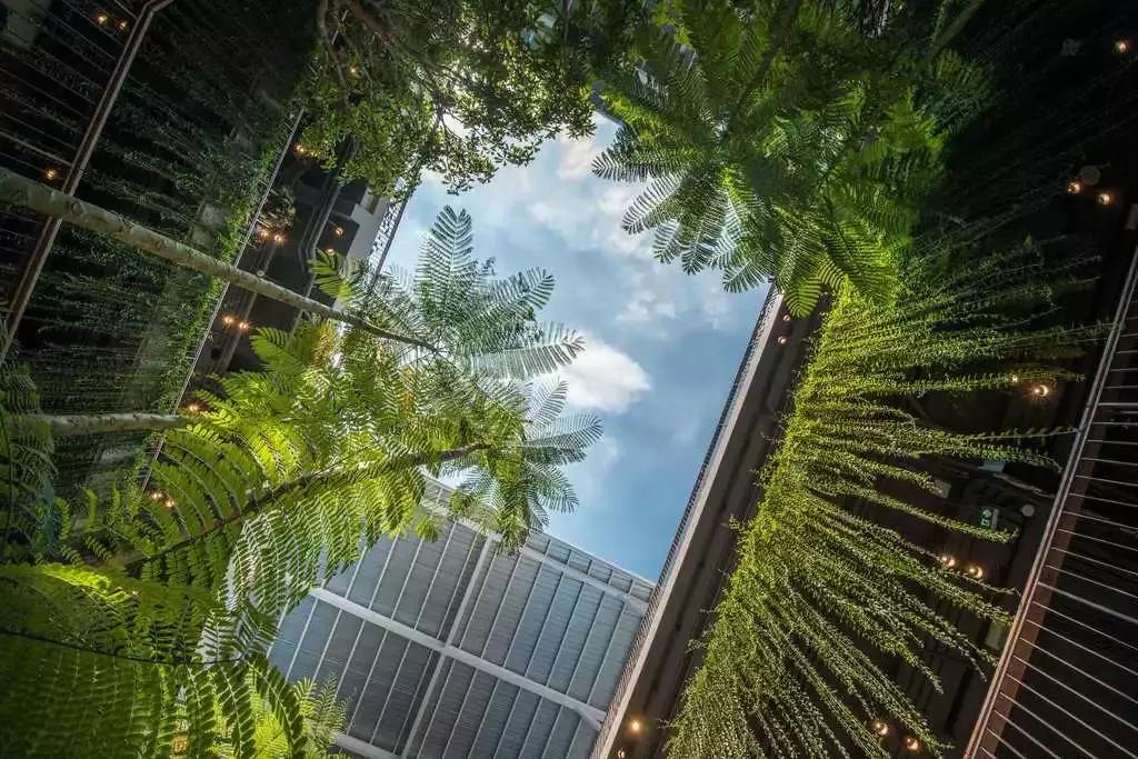 合肥商业街景观设计,复古商业街景观设计