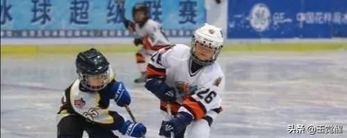 宋祖德评李天一,宋祖德老师讲李天一