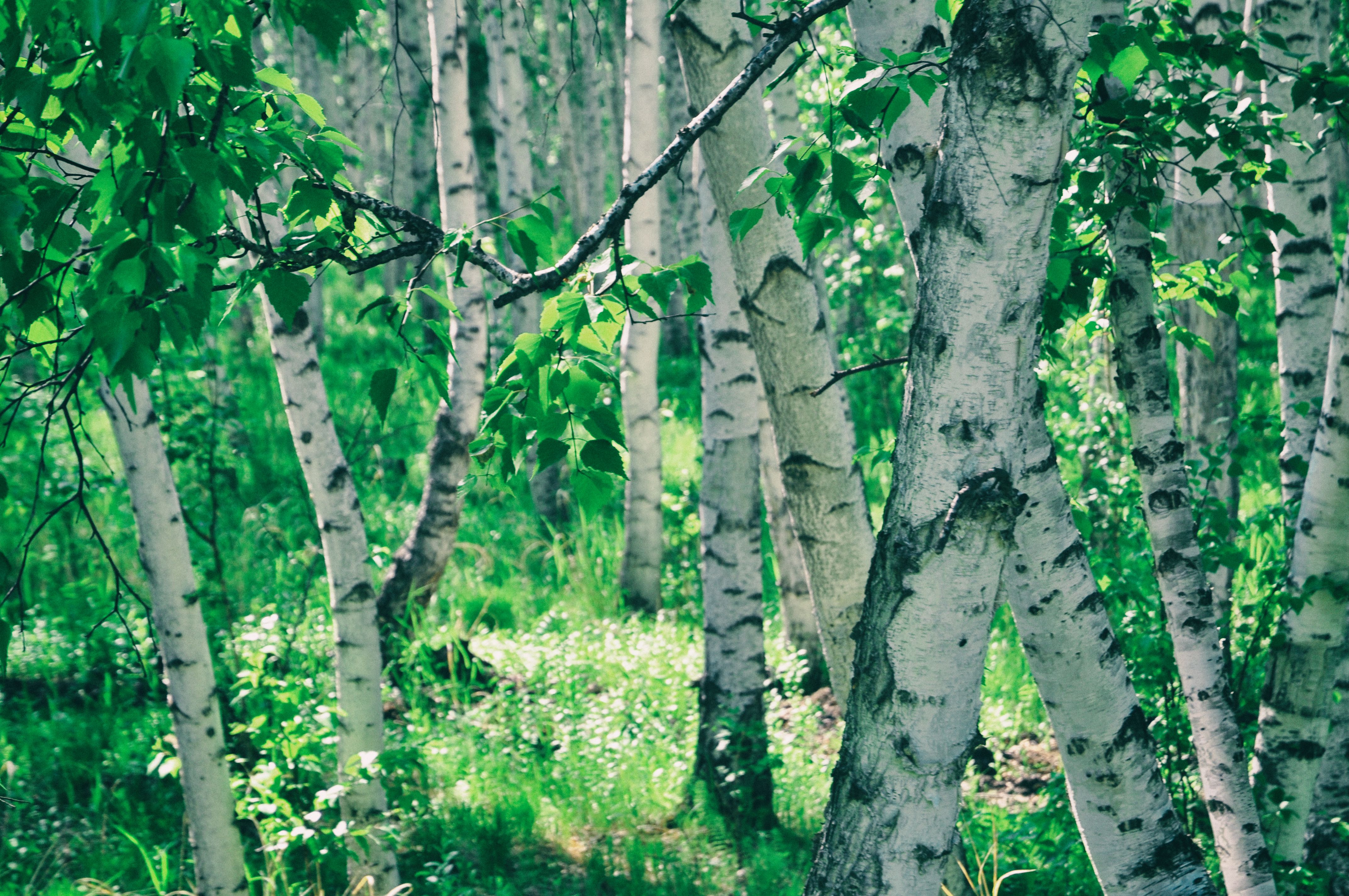 东北游记攻略,东北游记最新视频