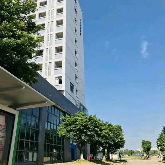 广东环境保护工程职业学院好吗,高职高考院校环境
