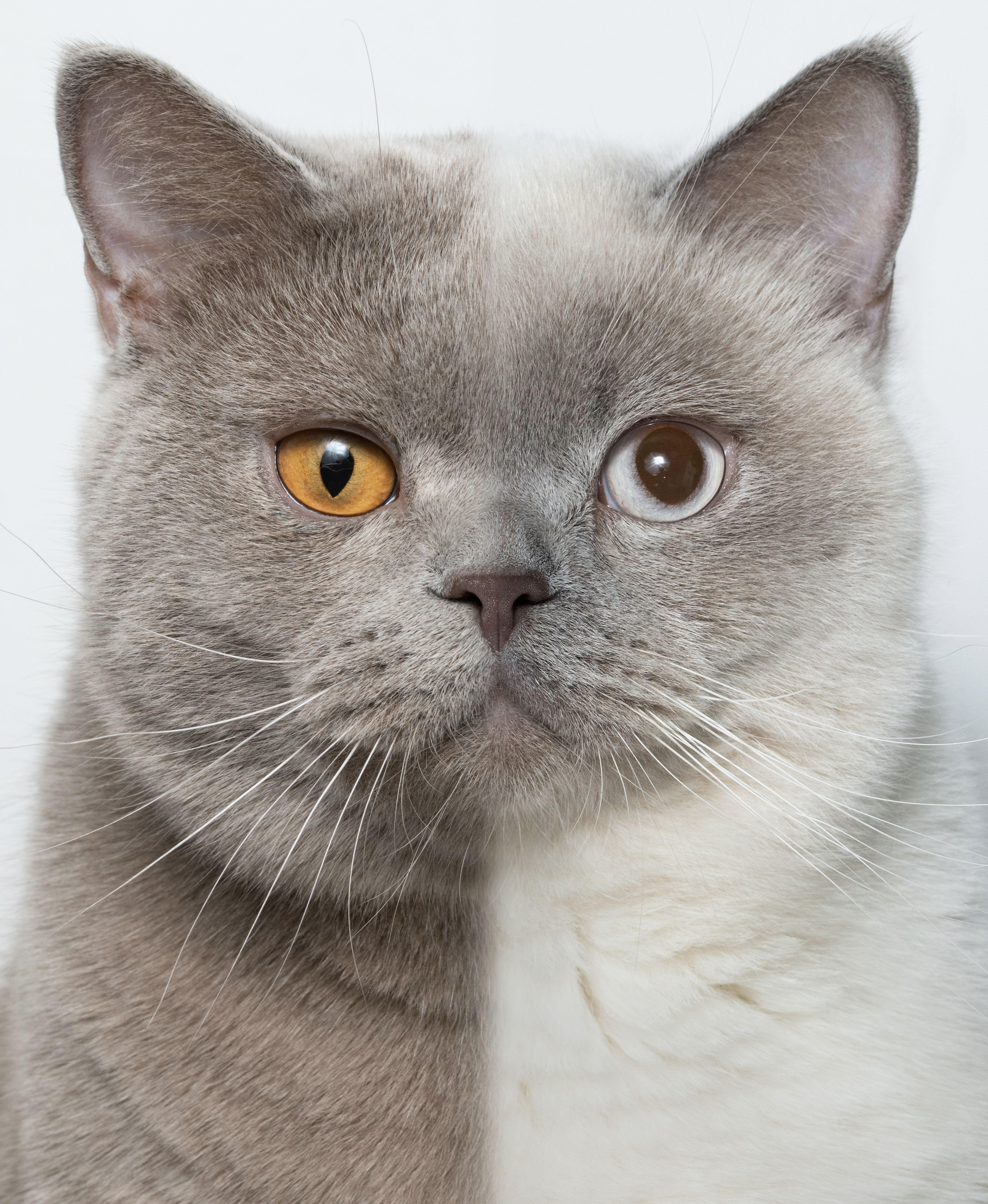 迟到的618好物推荐,618影像神器