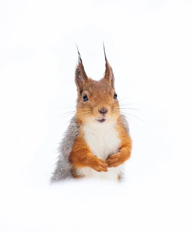 葬礼当天，她成为了四个孩子的“后妈”，网友：这是童话故事吧