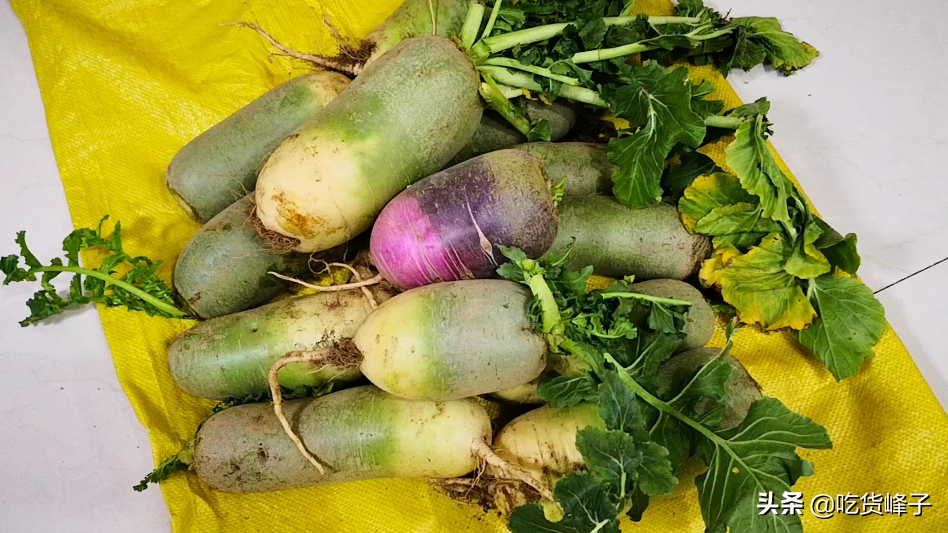 买萝卜时应该怎么选,冬天哪种萝卜不能买