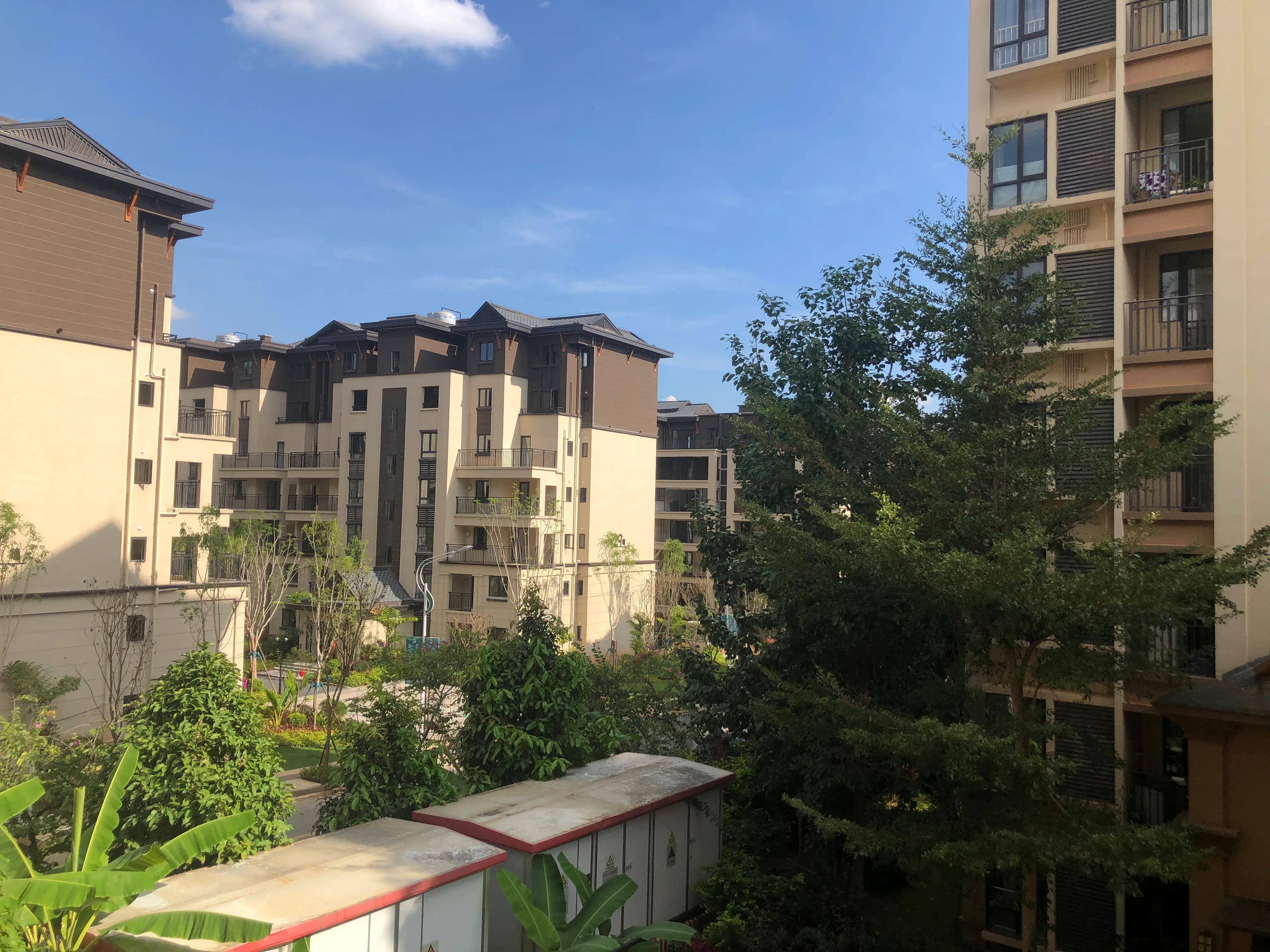 西双版纳旅居租房一室一厅,西双版纳旅居租房攻略万达