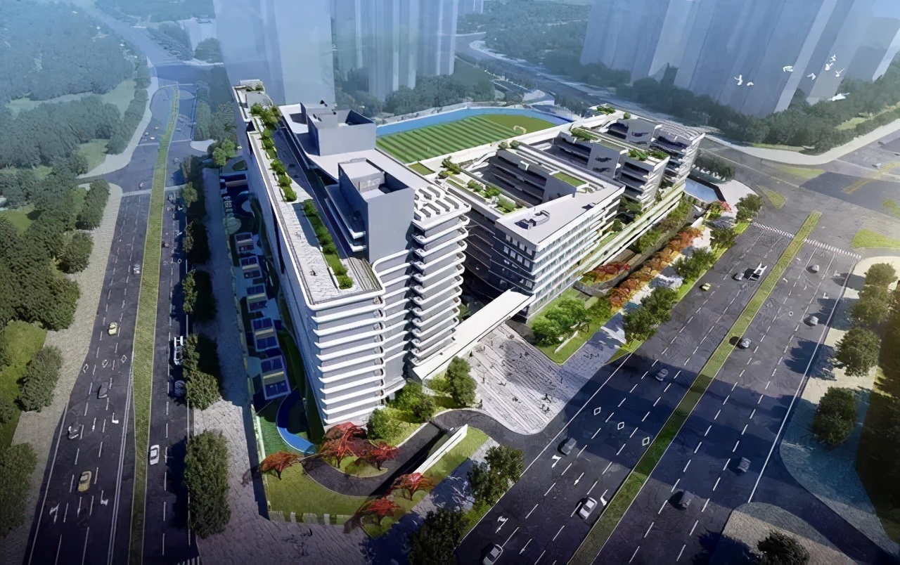 深圳四大八大十大中学各有几所,深圳的四大八大名校是哪些