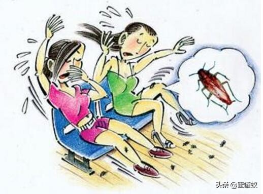 搬家的时候会不会把蟑螂带到新家,搬家会带走跳蚤吗