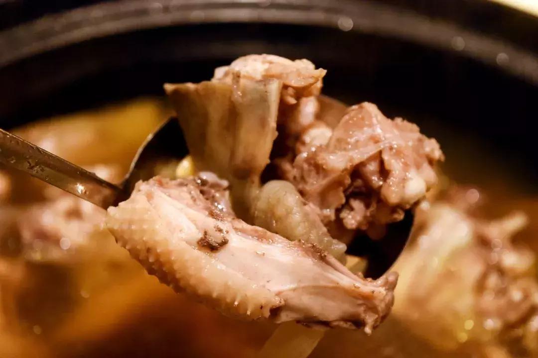 南海里水有间人气爆棚的食府，鳄鱼龟走地鸡煲只需158元！