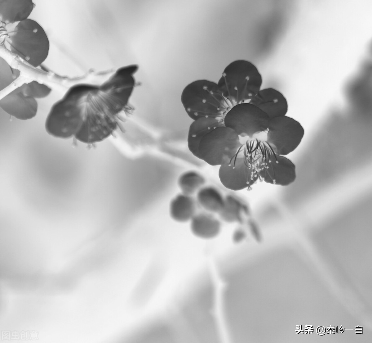 王冕是元朝末年的著名诗人与画家,元朝著名画家王冕的书画作品欣赏