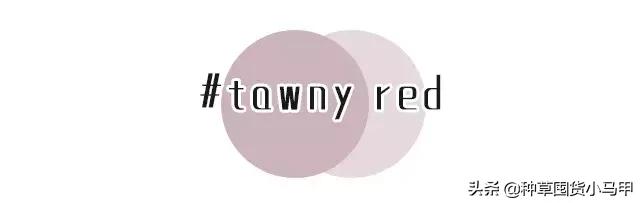 专柜出现假货新闻,专柜售假是真的吗