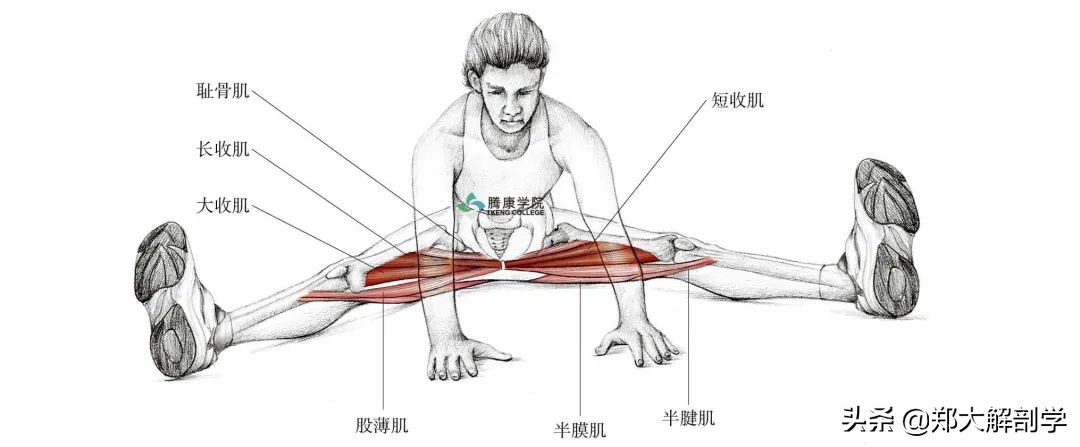 老年人蹲不下怎样锻炼,老年人蹲不下去了怎么办
