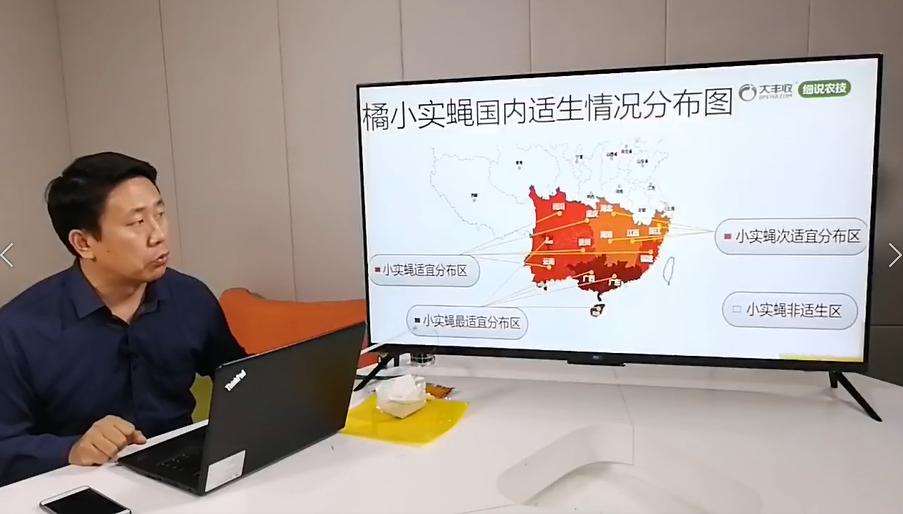 果实蝇最佳防治时间,果实蝇防治小妙招一定要学起来