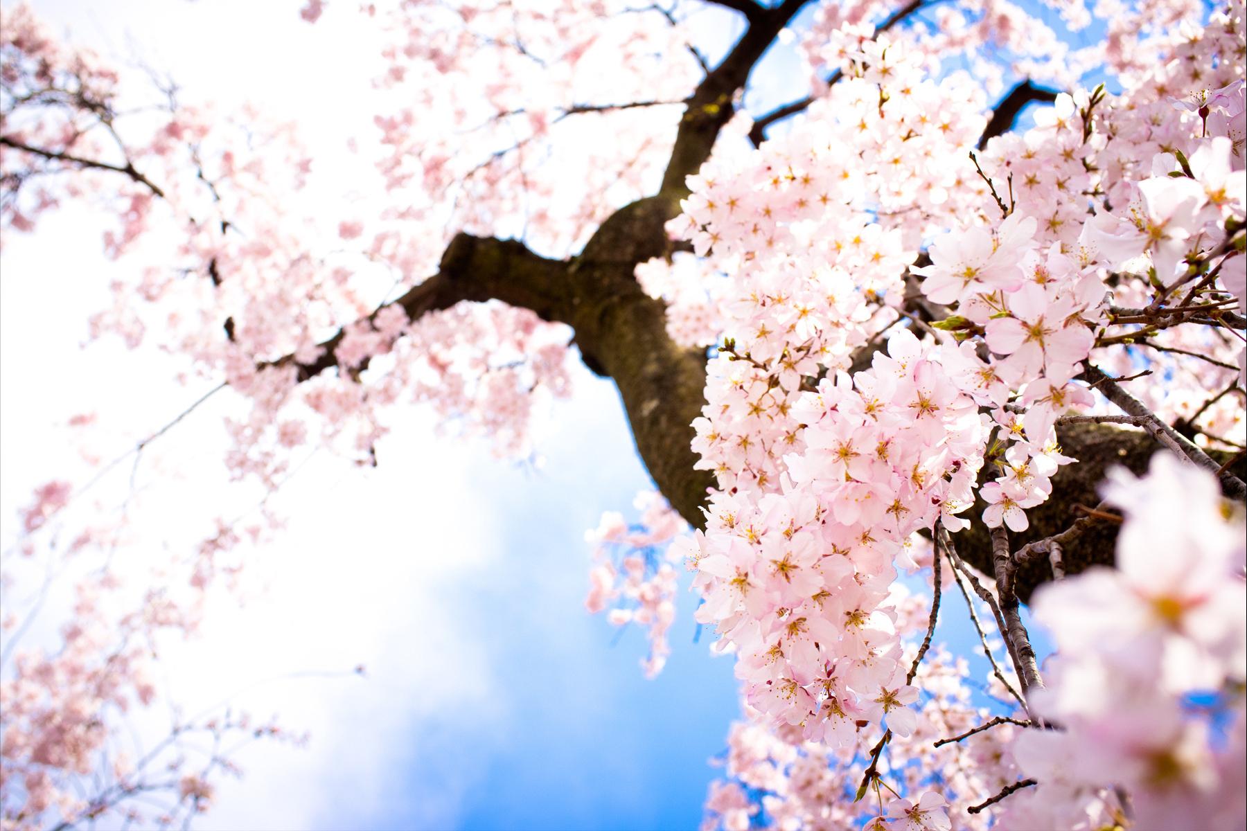 教你该如何搞掂12星座的坏脾气,十二星座里面脾气暴躁的四大星座