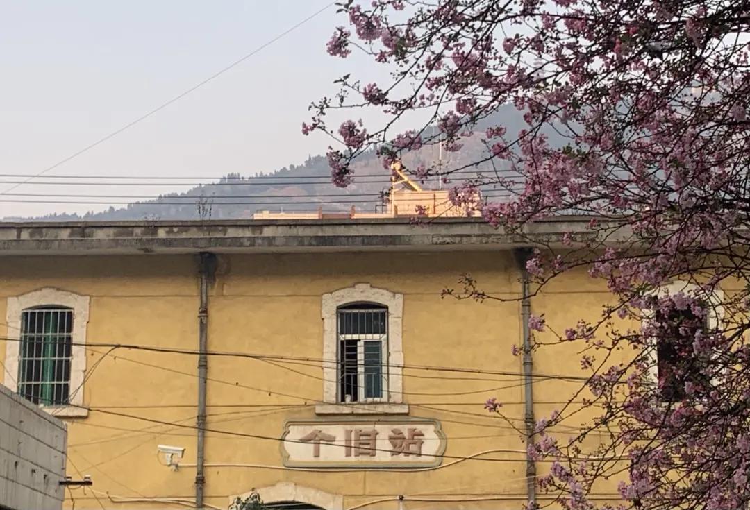 云南个旧有哪些缺点,个旧是云南最好的城市吗