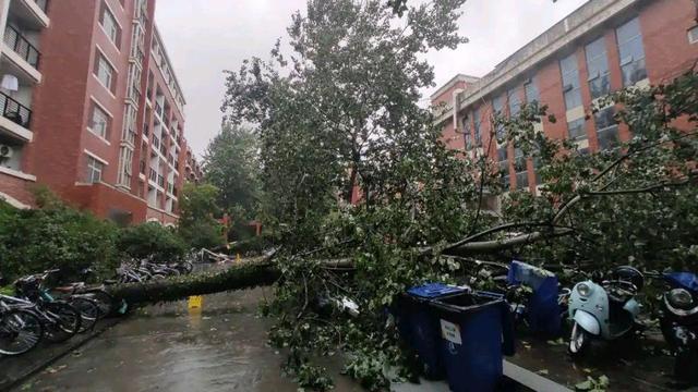 郑州大学水利专业好吗,水利专业郑州学校排名