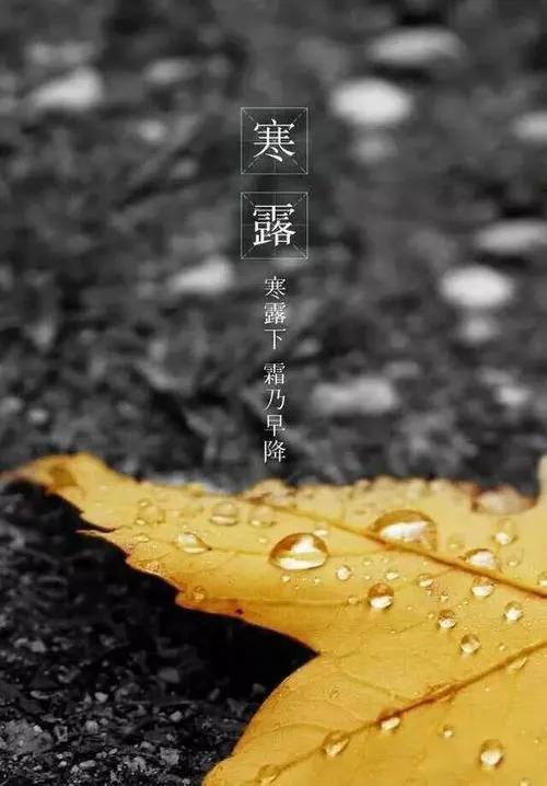 郑伯克段于鄢阅读札记,郑伯克段于鄢