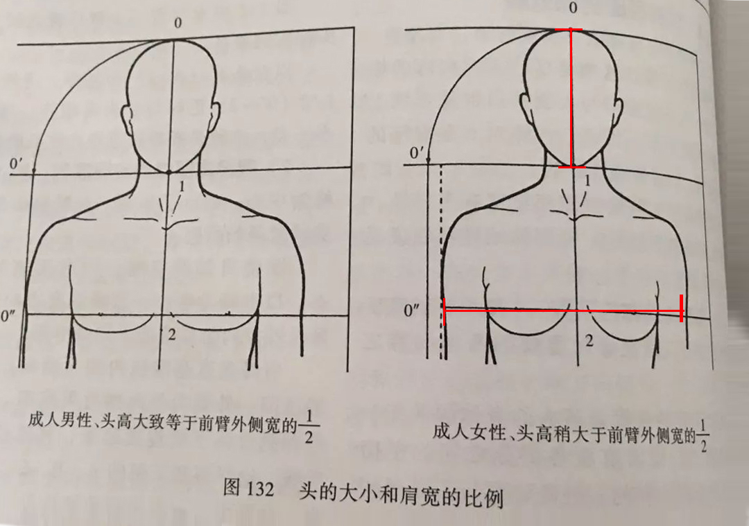 头大脸大瘦下来也不好看,头大显得身体小
