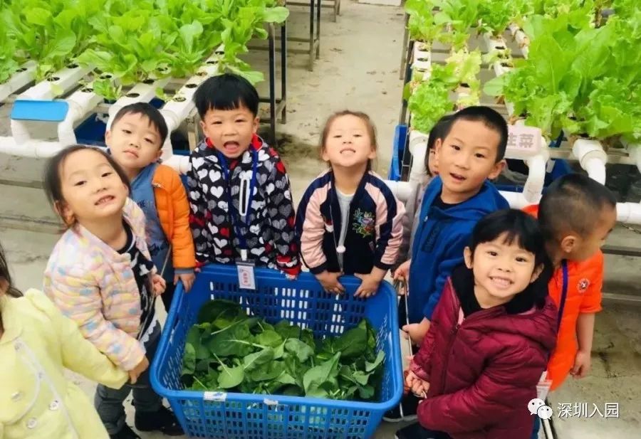 深圳福田幼儿园晚托机构,深圳公立幼儿园晚托班