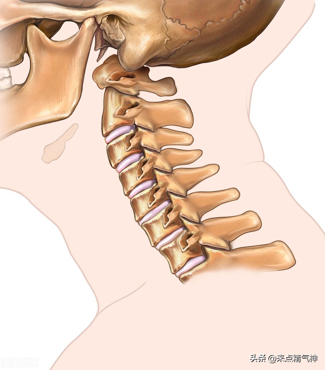 视力下降！后脑勺枕骨的下找压痛点，用力揉搓了！颈型视力障碍
