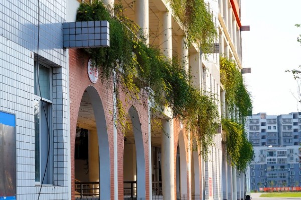 巴中市第四中学西华山春游,巴中高中春游