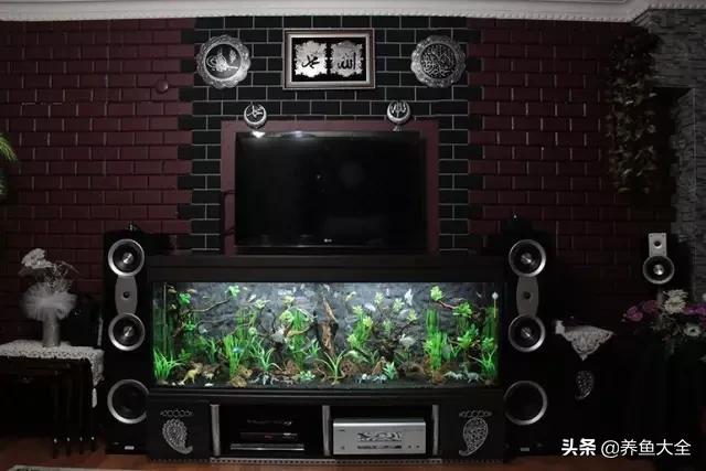 养鱼的鱼缸家里没有怎么办,养鱼没地方放鱼缸