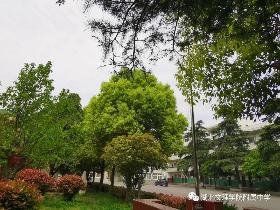 湖北文理学院疫情影响,湖北文理学院的疫情怎么样