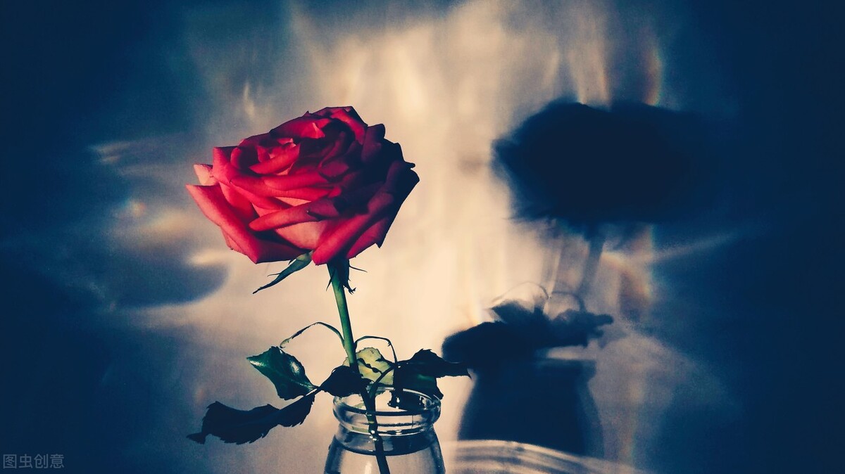 本期分享4本高质量冷门言情文,2021言情小说推荐100本