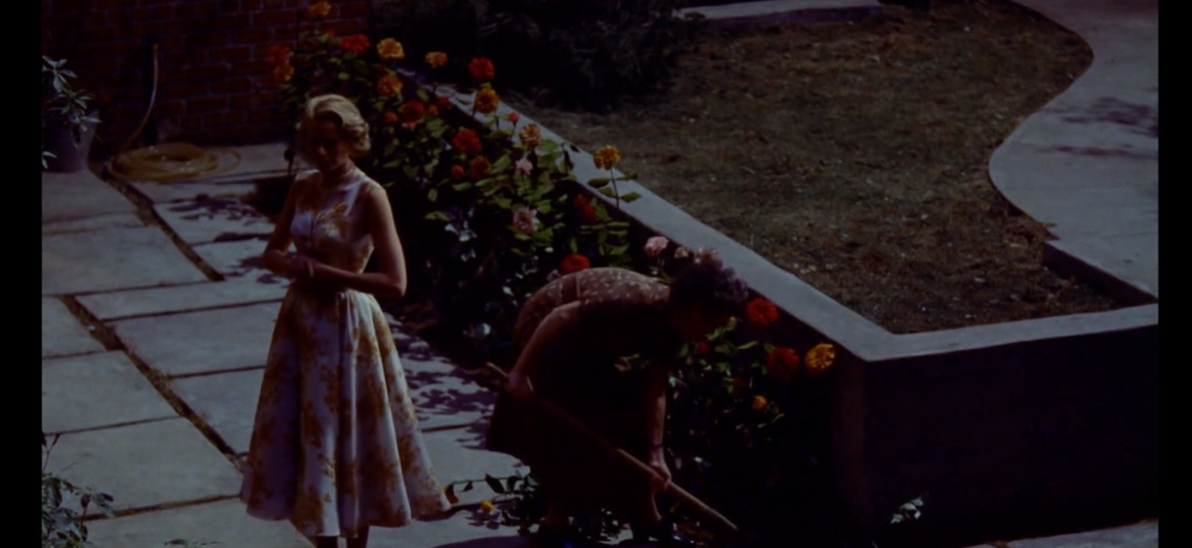 希区柯克经典电影后窗,希区柯克后窗艺术