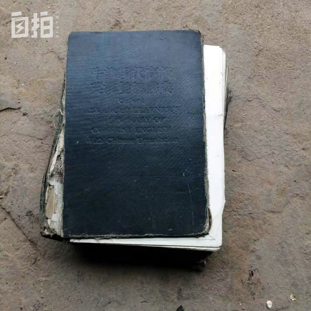 我14岁就辍学经历了多少苦,我14岁初中没读完就辍学