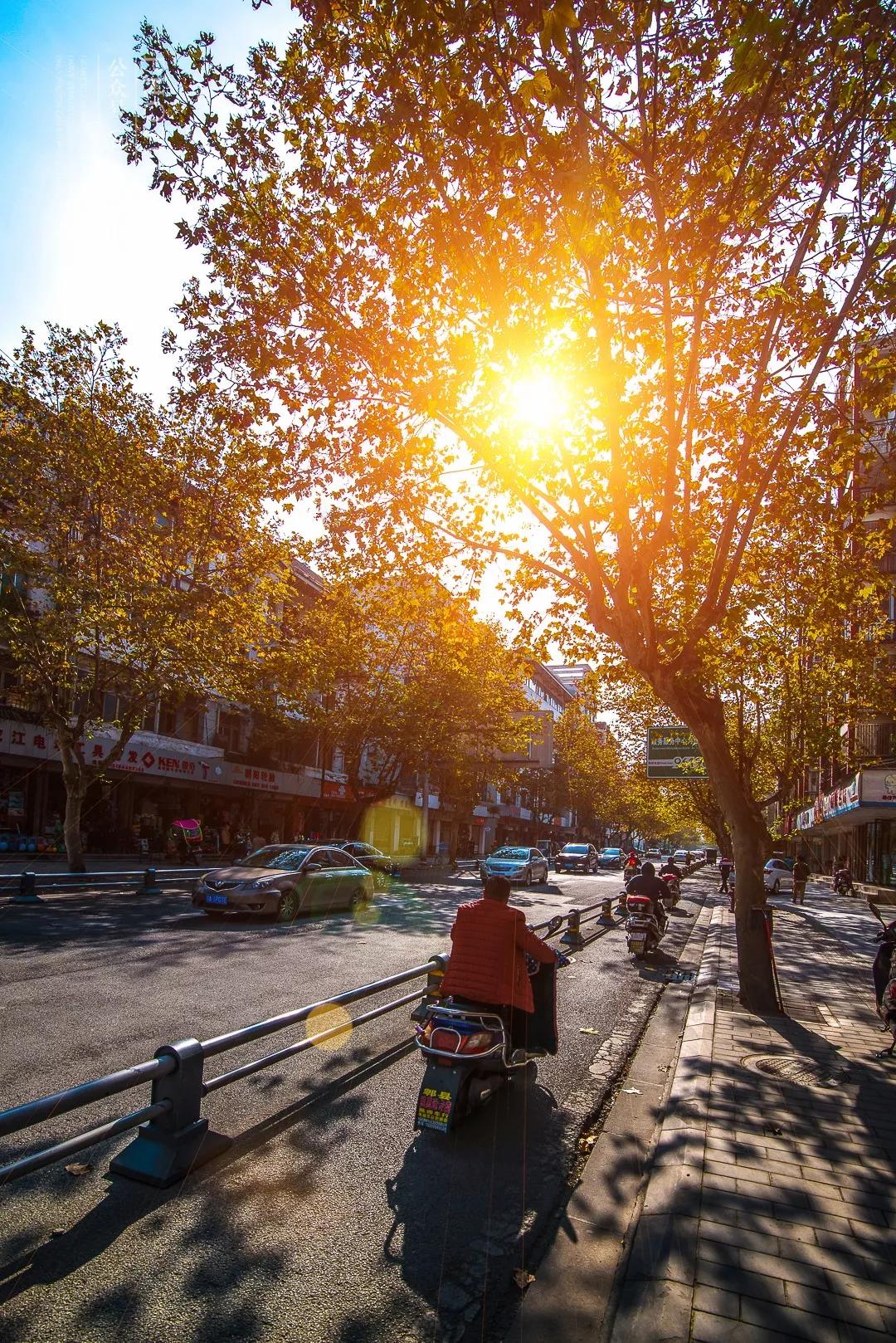 郫县是怎么发展起来的,郫县区为什么这么出名