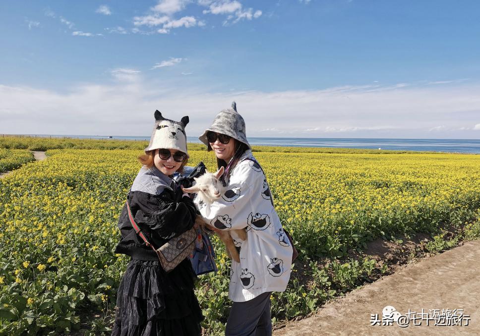 自驾游青海湖景点攻略图片最新版,青海湖自驾游必去景点攻略图