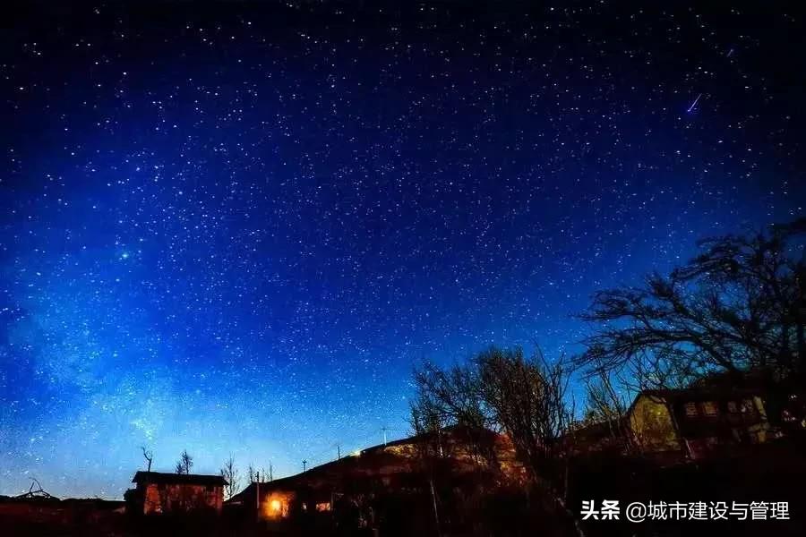 草树青翠虫鸣起，一枕清凉入梦来