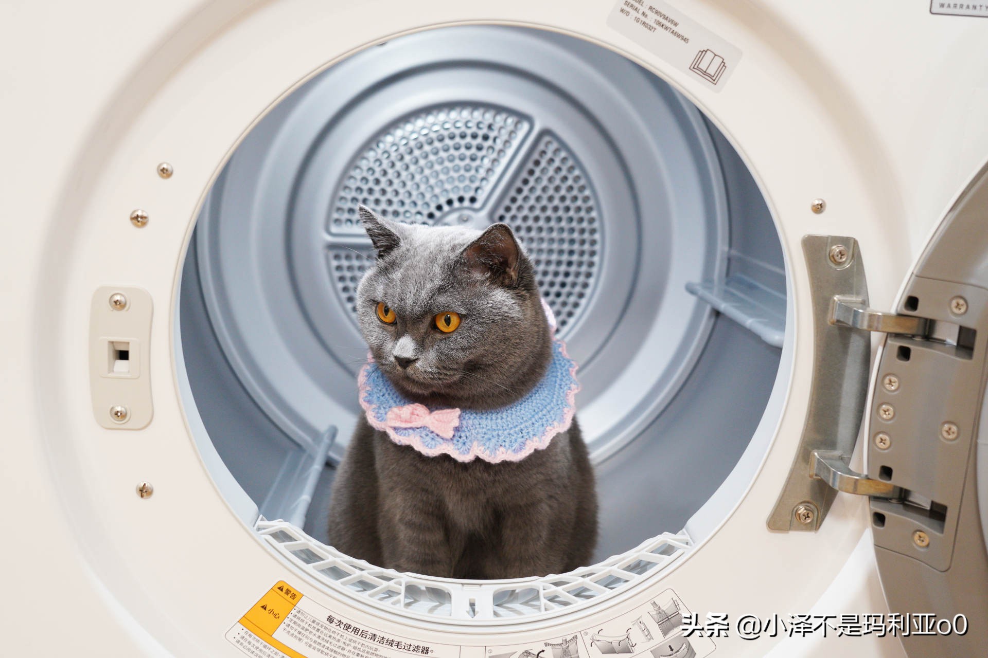 lg性价比最高的洗烘套装,lg洗烘套装性价比最高的一款