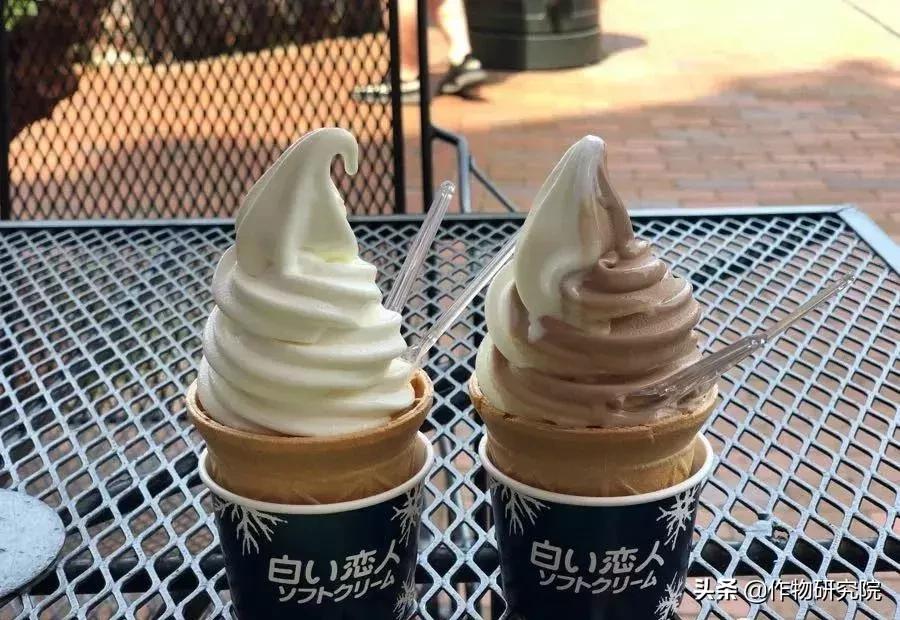 日式网红薄饼干,日本饼干伴手礼