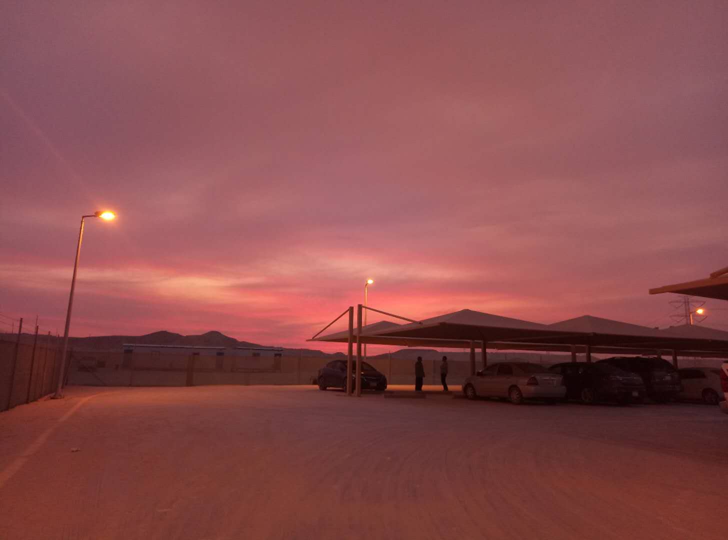 中国人在沙特的打工日常,中国人去沙特打工的真实感受