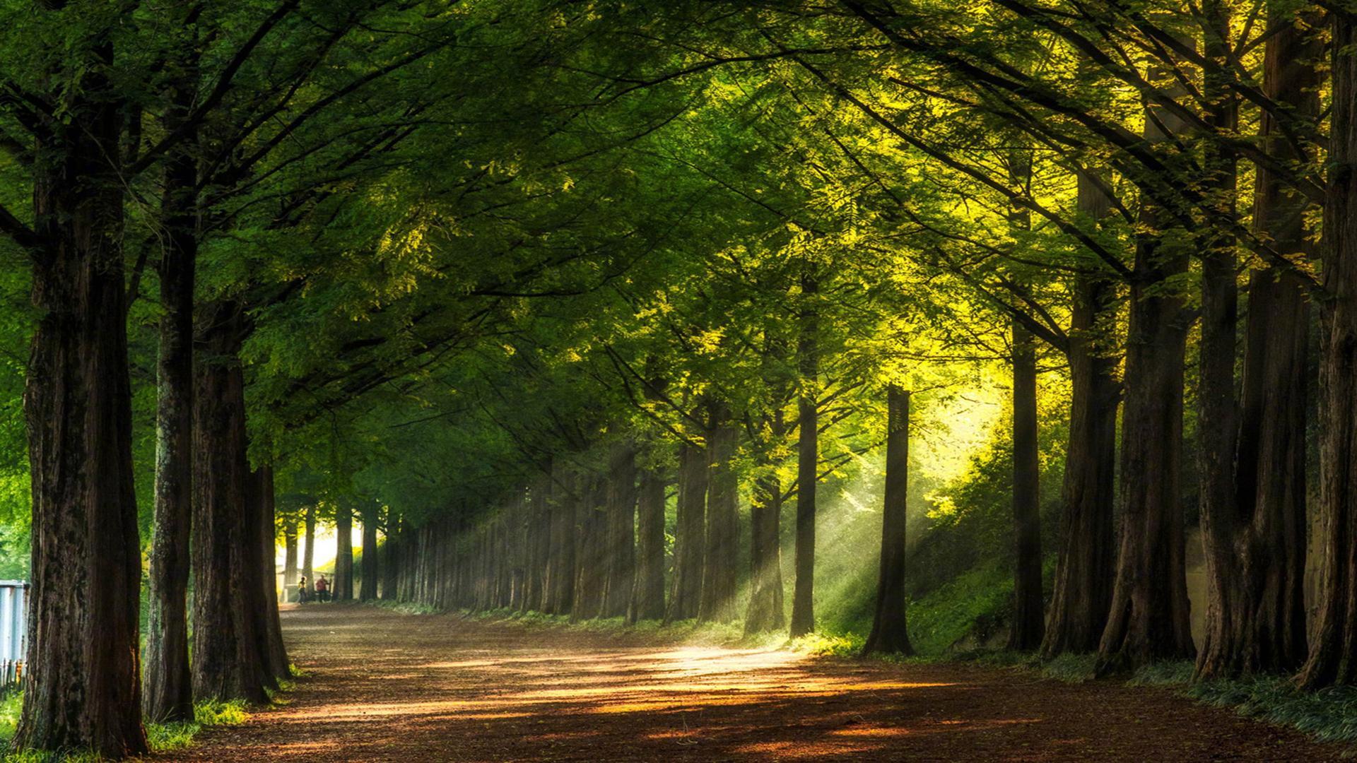 肠道修复的五大原则,肠道维护4r原则是什么