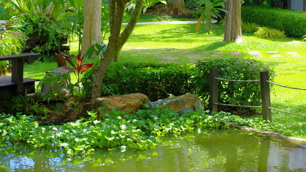 古诗里的夏天有多美,夏天的古诗诗情与画意