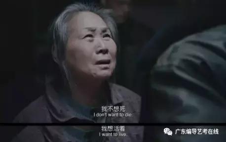 当代中国电影的发展趋向,题材选择