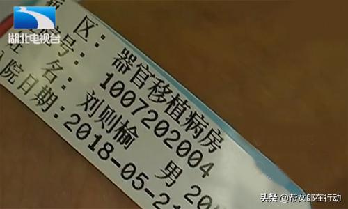 男子实习被半挂撞伤，肝移植需花70万，肇事者：我没钱能咋办