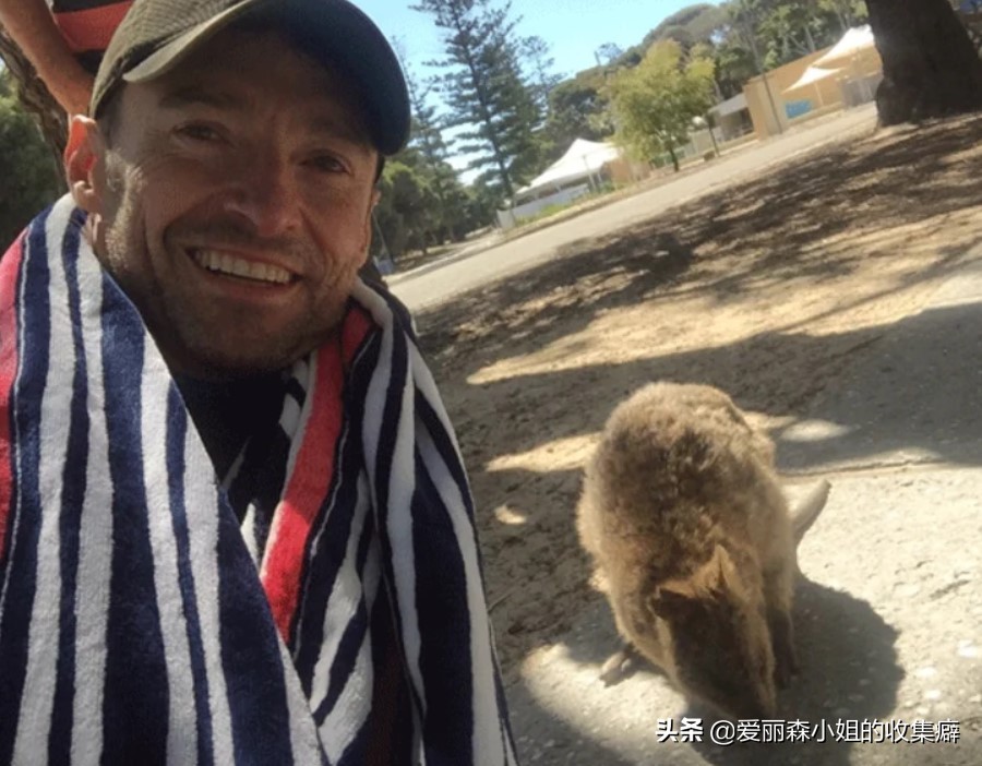 为什么我们会微笑？10个关于微笑袋鼠的萌萌秘密