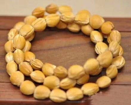 吃剩的水果核不要丢弃,吃剩的樱桃籽能种吗