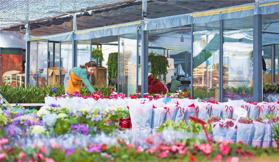 花木之窗,花木之窗义乌