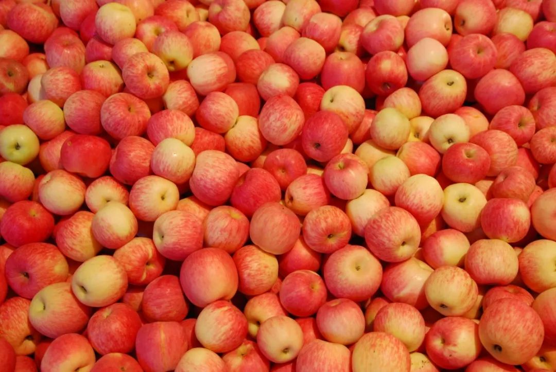 To全世界:灵宝向您发来一封邀请函,请亲启