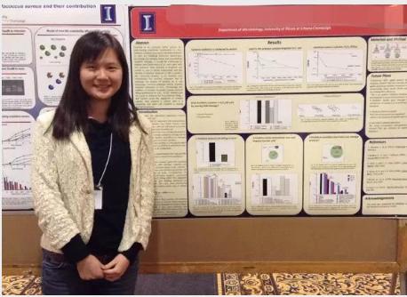 考研成功率高的985,考研成功率高的985大学