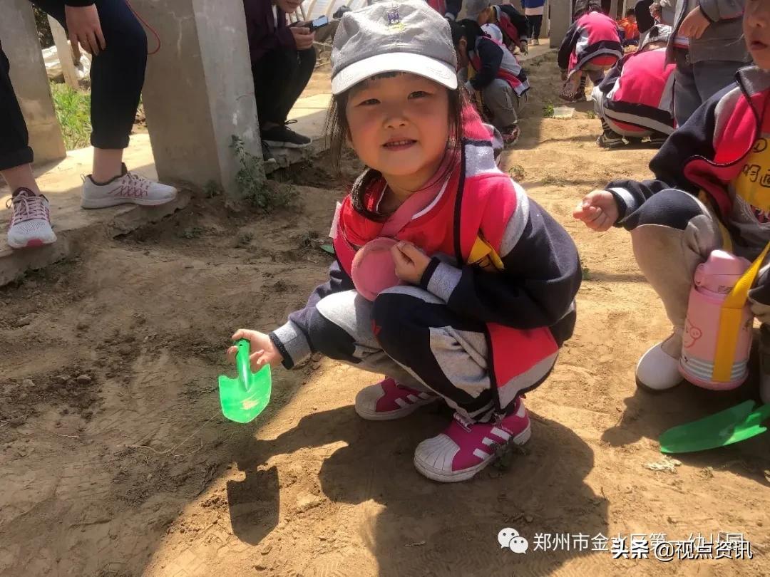 金水一幼六一,金水一幼幼儿园