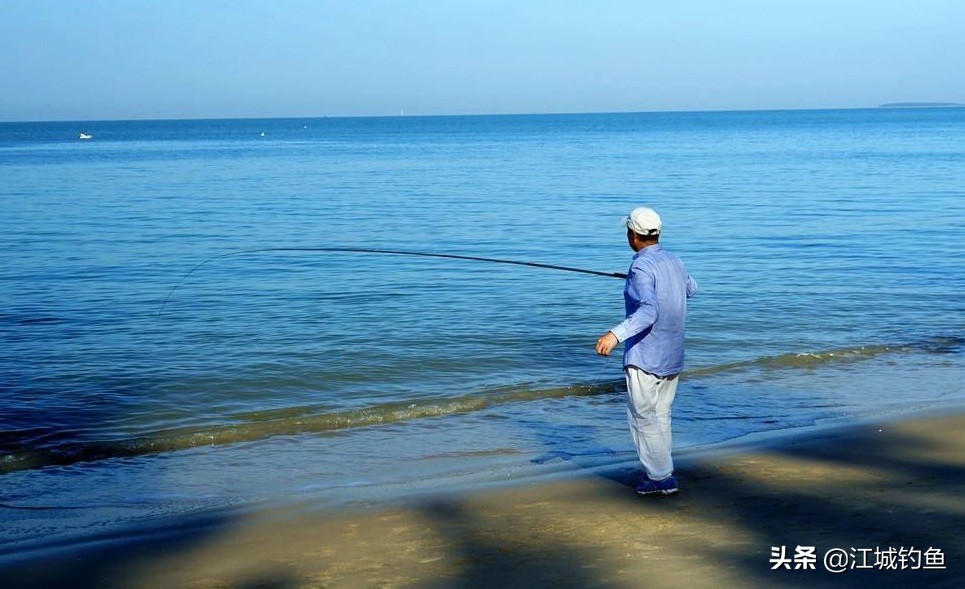 没有攻击性的雀鲷鱼,雀鲷鱼很凶猛吗