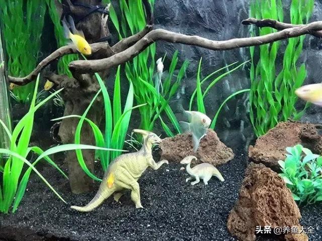 电视柜养鱼,电视柜旁边养鱼好不好