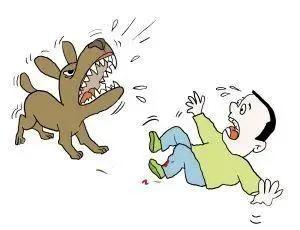 恶犬扑过来怎么办,恶犬攻击如何自救