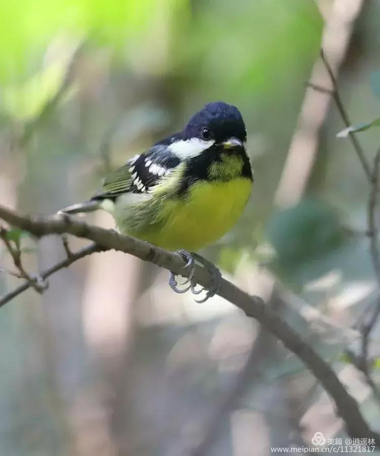 天坛最近发生什么事,北京天坛现在的状况