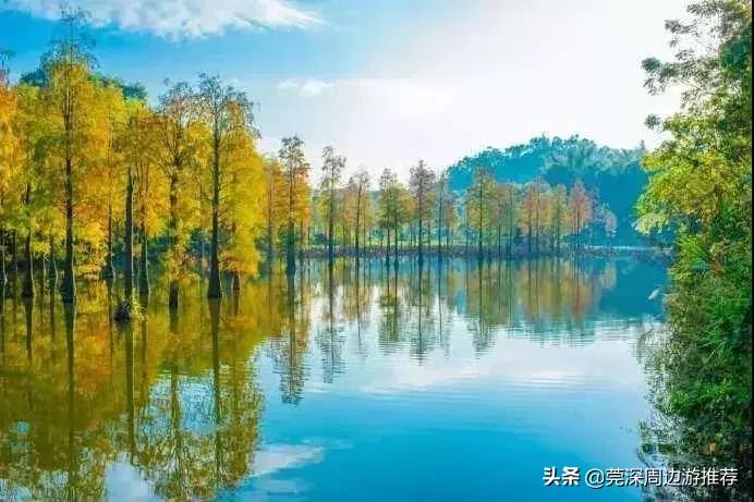 家庭聚会别墅度假推荐惠州,惠州适合家庭聚会的别墅