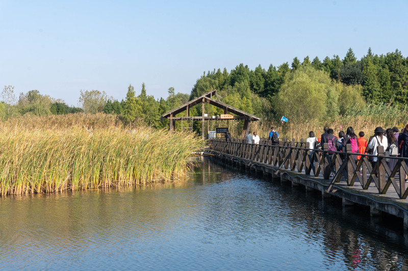 乘着动车去旅行,乘着高铁游扬州高邮北